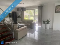 43456 - zdjęcie nr 3
