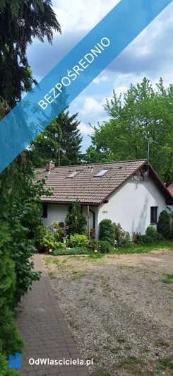 41856 - zdjęcie nr 0