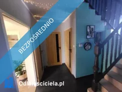 41492 - zdjęcie nr 2
