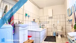42130 - zdjęcie nr 3