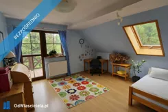 42533 - zdjęcie nr 4