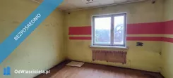 31139 - zdjęcie nr 3