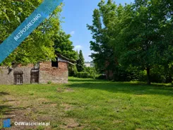 42338 - zdjęcie nr 3