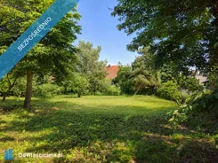 42338 - zdjęcie nr 4