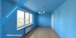 41280 - zdjęcie nr 3