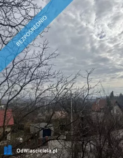 43455 - zdjęcie nr 2