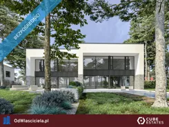 41303 - zdjęcie nr 0