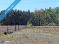 38873 - zdjęcie nr 2