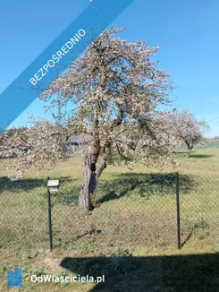 38873 - zdjęcie nr 3