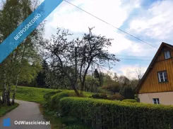 42669 - zdjęcie nr 3