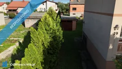 43723 - zdjęcie nr 4