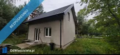 44437 - zdjęcie nr 1