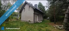44437 - zdjęcie nr 2
