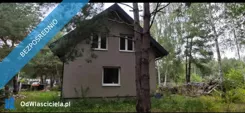 44437 - zdjęcie nr 3
