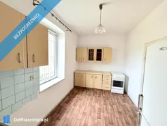 42383 - zdjęcie nr 3