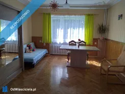 41581 - zdjęcie nr 3