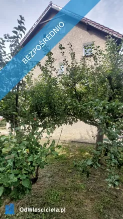 43142 - zdjęcie nr 1