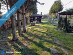 34371 - zdjęcie nr 4