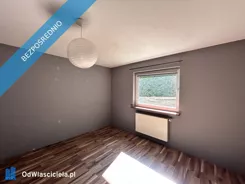 29791 - zdjęcie nr 2