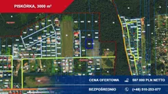 42029 - zdjęcie nr 3