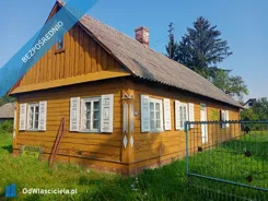 41921 - zdjęcie nr 1