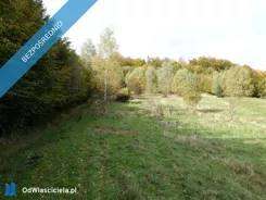 43138 - zdjęcie nr 1
