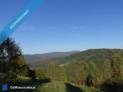 43726 - zdjęcie nr 0