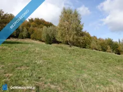 44398 - zdjęcie nr 4