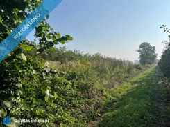 40854 - zdjęcie nr 0