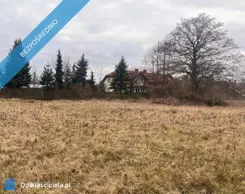 40698 - zdjęcie nr 0