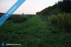 41950 - zdjęcie nr 1