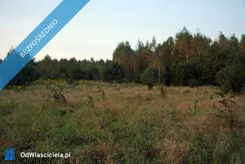 41950 - zdjęcie nr 3