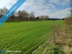 34792 - zdjęcie nr 3