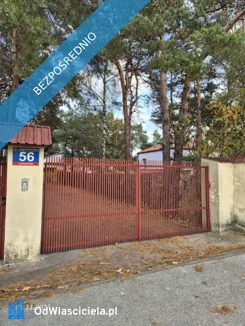 37911 - zdjęcie nr 1