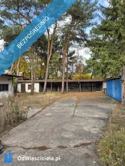 37911 - zdjęcie nr 3