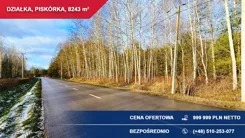 40654 - zdjęcie nr 2