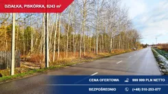 40654 - zdjęcie nr 3
