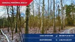 40654 - zdjęcie nr 4