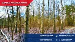 40816 - zdjęcie nr 4