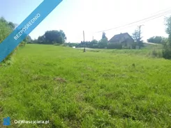 42953 - zdjęcie nr 3
