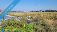40285 - zdjęcie nr 3