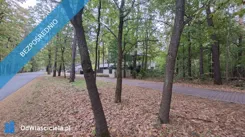 44432 - zdjęcie nr 2