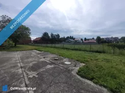 39481 - zdjęcie nr 0