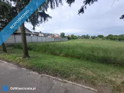 39481 - zdjęcie nr 1