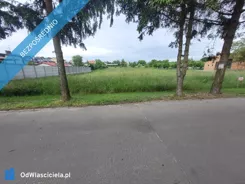 39481 - zdjęcie nr 2