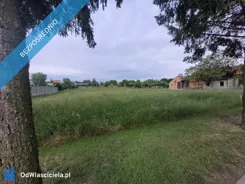39481 - zdjęcie nr 3