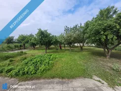 39481 - zdjęcie nr 4
