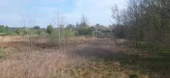 39386 - zdjęcie nr 3