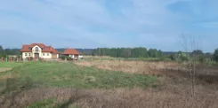 39386 - zdjęcie nr 4