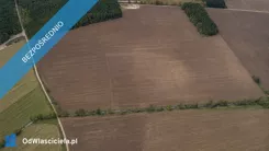44235 - zdjęcie nr 0
